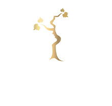 (c) Domaine-mayrac.fr
